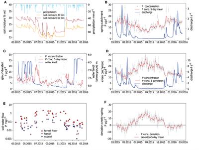 Phosphorus Fluxes in a Temperate Forested Watershed: Canopy Leaching, Runoff Sources, and In-Stream Transformation